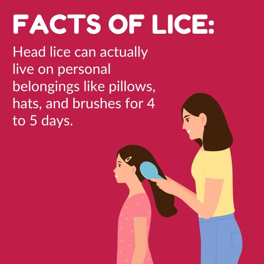 facts of lice