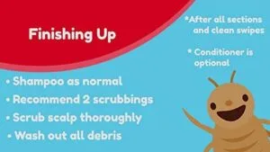 Finishing up after using lice sisters lice treatment spray