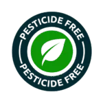 lice sisters pesticide free badge