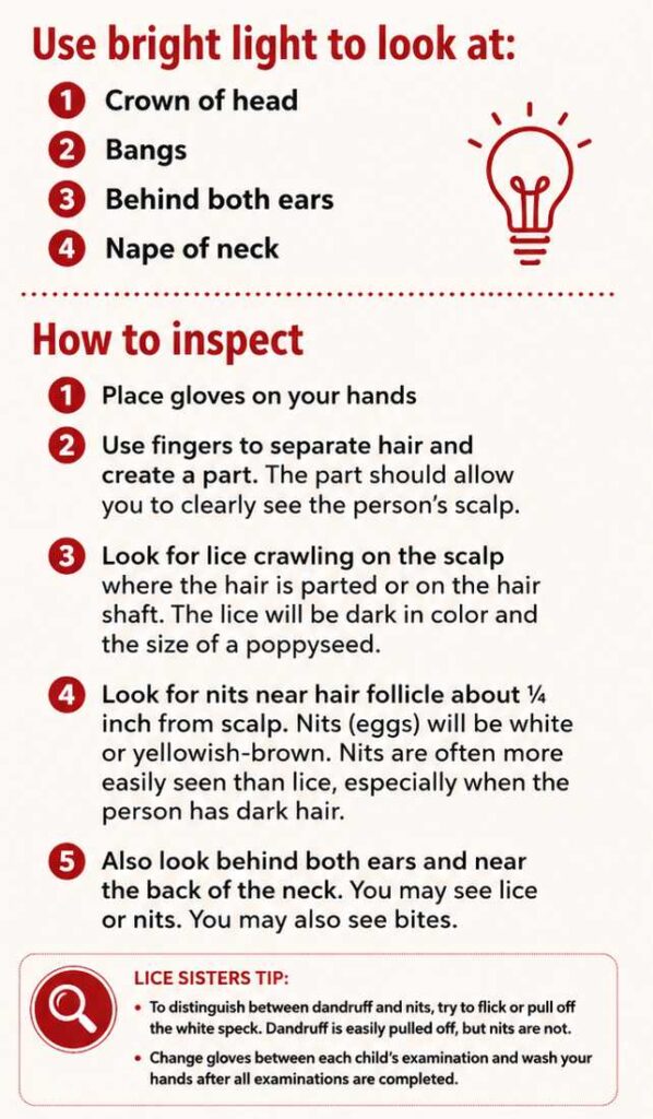 how to check for lice